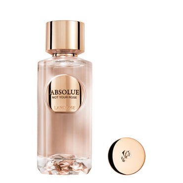 Lancome Ladies Absolue Not Your Rose EDP Spray 3.4 oz Fragrances